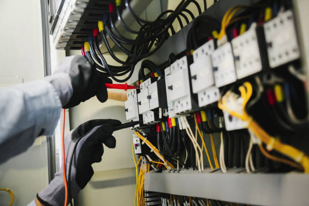 Best Electrical Panel Upgrades  in Davie, FL